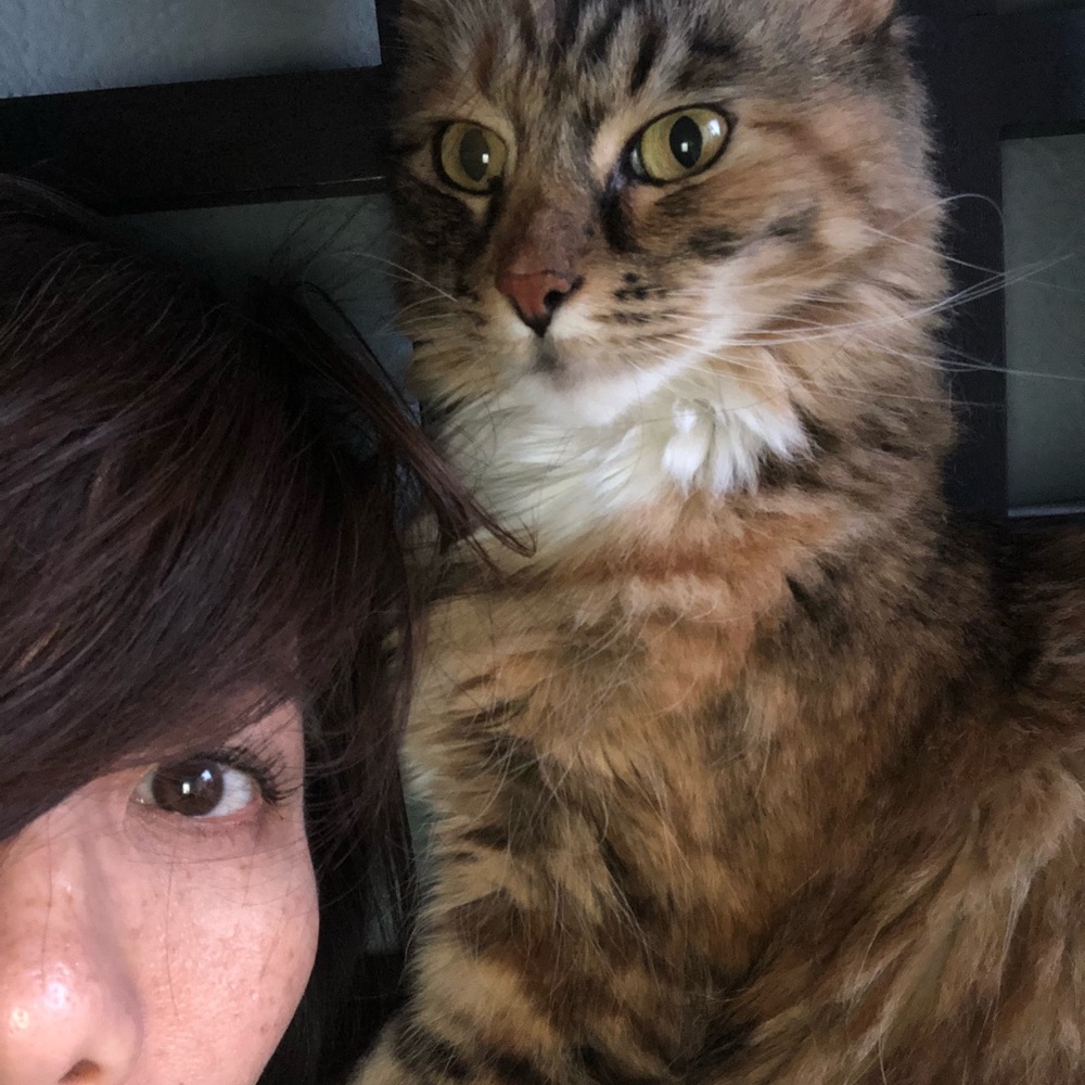 Meet your Posher, Stacie